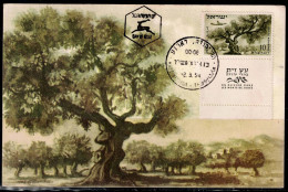 ISRAEL 1954 AIR MAIL MAXIMUN CARD VF!! - Tarjetas – Máxima