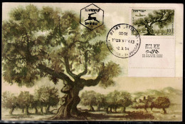 ISRAEL 1954 AIR MAIL MAXIMUN CARD VF!! - Maximum Cards