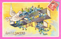 Fant-474P64  Amitié Sincère, Une Colombe, Un Aéroplane, Fleurs, Lettres Dorées, Cpa  - Altri & Non Classificati