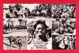 E-Senegal-364A26  DAKAR, Multivues, Femmes Seins Nus, BE - Senegal
