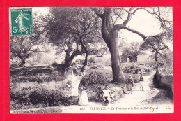 E-Algerie-480A99  Le Tombeau Et Le Bois De Sidi Yacoub, Verso Cachet Militaire, Cpa  - Tlemcen