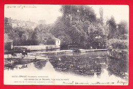 F-17-Jonzac-10P88  Les Bords De La Seugne, Vue Prise Du Pont, Un âne, Chiens, Cpa Précurseur BE - Jonzac