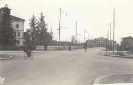 Emilia Romagna  -  Modena  -  Viale E Nuova Stazione Ferrovie Provinciali  -  F. Piccolo  -  Nuova  - Bella Animata - Modena