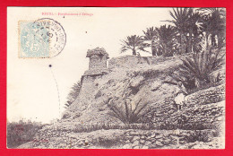 E-Algerie-197P88  FIGUIG, Les Fortifications à Zenaga, Petite Animation, Cpa  - Other & Unclassified