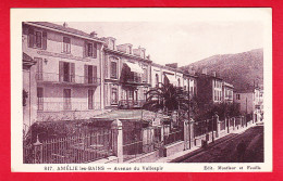 F-66-Amelie Les Bains-20P115  Avenue Du Vallespir, Hôtel Moderne, Cpa BE - Altri & Non Classificati