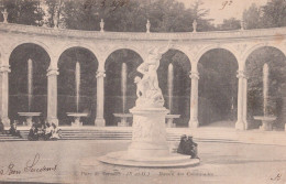 PARC DE VERSAILLES BASSIN DES COLONNADES - Versailles (Castello)