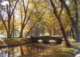 *CPM  - 78 - RAMBOUILLET - Le Jardin Anglais Dans Le Parc Du Château - Rambouillet (Castello)