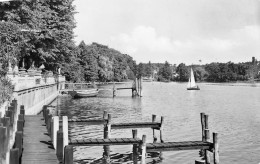 Potsdam-Nedlitz Blick Auf Den Lehnitzsee Glca.1960 #168.538 - Otros & Sin Clasificación