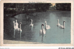 AETP5-USA-0393 - LAKEWOOD - N J - The Swans - Other & Unclassified