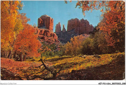 AETP11-USA-0886 - ARIZONA - Courthouse Rock - Autres & Non Classés