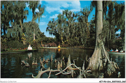 AETP8-USA-0640 - HAWTHORNE - Rising Above The Waters Of Lake Eloise At Beautiful Cypress Gardens - Altri & Non Classificati