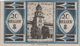 20 HELLER 1920 Stadt RADSTADT Salzburg Österreich Notgeld Banknote #PF386 - Lokale Ausgaben