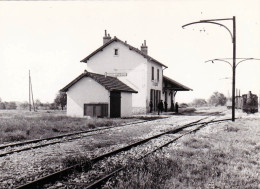 Photo - 69 - Rhone -  Chemin De Fer De La Cote D'or - Gare De MARSANNAY La COTE - Retirage - Non Classificati