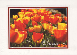 FLOWERS Vintage Ansichtskarte Postkarte CPSM #PAR122.A - Flowers