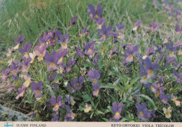 FLOWERS Vintage Ansichtskarte Postkarte CPSM #PAR007.A - Flowers