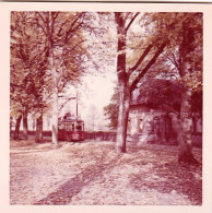 Photo Originale - 21 - DIJON - Ligne Tramway1/ 6 - Allée Du Parc - 11/1961 - Places