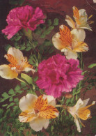 FLORES Vintage Tarjeta Postal CPSM #PBZ405.A - Flowers