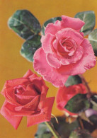 FLORES Vintage Tarjeta Postal CPSM #PBZ280.A - Fleurs