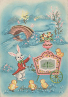 OSTERN KANINCHEN Vintage Ansichtskarte Postkarte CPSM #PBO475.A - Ostern