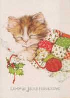 CAT KITTY Animals Vintage Postcard CPSM #PAM581.A - Katten