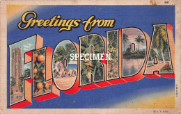 Greetings From Florida - Sonstige & Ohne Zuordnung