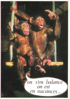 HUMOUR - On S'en Balance On Est En Vacances - Carte Postale - Humor