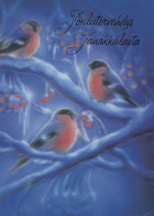 Buon Anno Natale UCCELLO Vintage Cartolina CPSM Unposted #PBA578.A - Año Nuevo