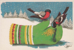 VOGEL Tier Vintage Ansichtskarte Postkarte CPSM #PBR503.A - Vogels