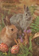 EASTER RABBIT EGG Vintage Postcard CPSM #PBO531.A - Ostern