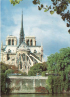 FRANCE - Paris - Cathédrale Notre Dame - Vue Depuis L'île Saint Louis - Carte Postale - Notre Dame Von Paris