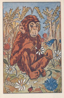 MONO Animales Vintage Tarjeta Postal CPA #PKE887.A - Scimmie