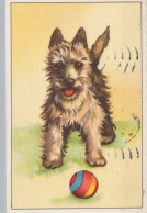 HUND Tier Vintage Ansichtskarte Postkarte CPA #PKE775.A - Perros