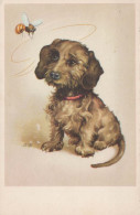HUND Tier Vintage Ansichtskarte Postkarte CPA #PKE780.A - Dogs