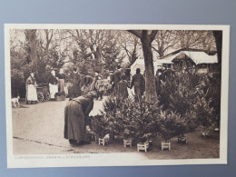 Strasbourg , Le Marché De Noel  , Strosburri , - Strasbourg