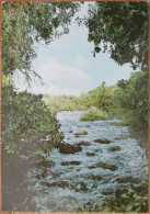 ISRAEL TEL DAN JORDAN RIVER UPPER GALILEE POSTCARD ANSICHTSKARTE CARTE POSTALE CARTOLINA POSTKARTE CARD KARTE - Israel