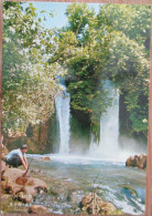 ISRAEL BANIAS JORDAN RIVER UPPER GALILEE POSTCARD ANSICHTSKARTE CARTE POSTALE CARTOLINA POSTKARTE CARD KARTE - Israël