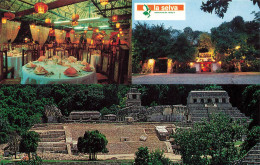 MEXIQUE - Zona Arqueologica De Palenque Y Restaurante La Selva - Palenque Chiapas México - Multi-vues - Carte Postale - México