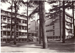 ROMA 9 ISTITUTO S. LEONE MAGNO - Educazione, Scuole E Università