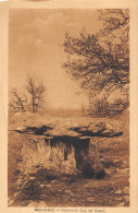 24-5909 : DOLMEN DU MAS-D'AZIL. ARIEGE - Dolmen & Menhire