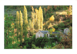 FRANCE - Arrière Pays Méditerranéen - Colorisé - Carte Postale - Otros & Sin Clasificación