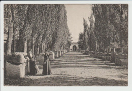 ARLES - BOUCHES DU RHONE - ARLESIENNE AUX ALISCAMPS - ALLEE DES TOMBEAUX - Arles