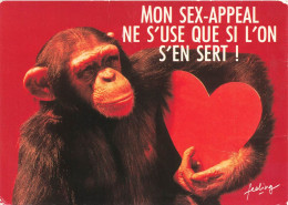 HUMOUR - Mon Sex-appeal Ne S'use Que Si L'on S'en Sert - Carte Postale - Humor