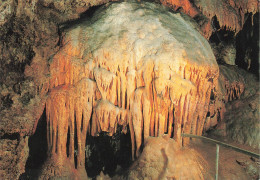 FRANCE - Grottes De Presque - La Crêche De Noël - Carte Postale - Other & Unclassified