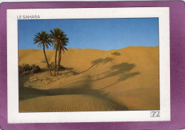 TUNISIE   LE SAHARA - Tunisia