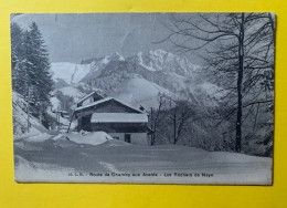 20075 - Route De Chamby Aux Avants Les Rochers De Naye - Montreux