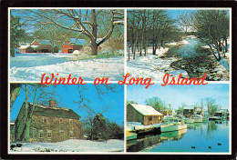 ETATS-UNI - Winter On Long Island - Nature And Geography Have Combined To Endow Long Island With A Full - Carte Postale - Long Island