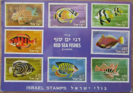 ISRAEL EGYPT EILAT SINAI DESERT RED SEA UNDERWATER OBSERVATORY FISH STAMP POSTCARD PHOTO POST CARD PC STAMP - Israël