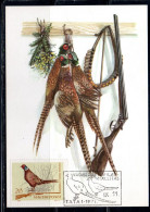 HUNGARY UNGHERIA RICCIONE 1964 FAUNA ANIMALS HUNTING RIFLE RING-NECKED PHEASANT 20f MAXI MAXIMUM CARD CARTE - Maximum Cards & Covers