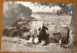 CARTE  - SAINTE MARINE - FINISTERE - 29 - LE PETIT PORT EN FACE DE BENODET - ANIMEE COIFFES - Bénodet