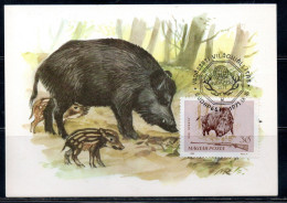 HUNGARY UNGHERIA RICCIONE 1964 FAUNA ANIMALS HUNTING RIFLE WILD BEAR 30f MAXI MAXIMUM CARD CARTE - Tarjetas – Máximo